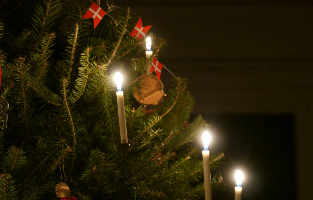 En annorlunda jul Ergo